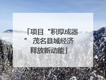 项目“积厚成器” 茂名县域经济释放新动能