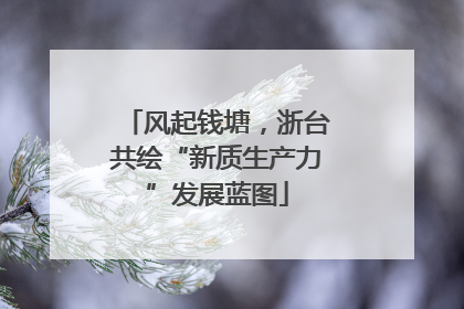 风起钱塘，浙台共绘“新质生产力”发展蓝图