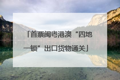 首票闽粤港澳“四地一锁”出口货物通关