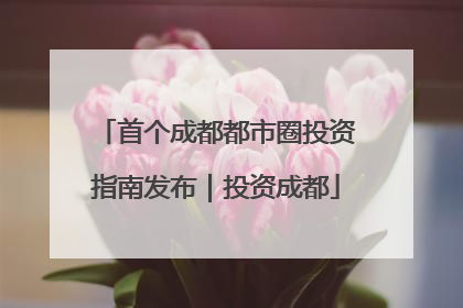 首个成都都市圈投资指南发布｜投资成都