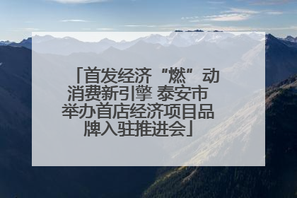 首发经济“燃”动消费新引擎 泰安市举办首店经济项目品牌入驻推进会