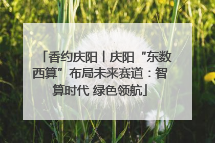 香约庆阳丨庆阳“东数西算”布局未来赛道：智算时代 绿色领航