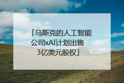 马斯克的人工智能公司xAI计划出售3亿美元股权