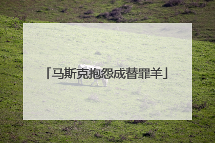 马斯克抱怨成替罪羊