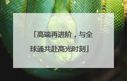 高端再进阶，与全球通共赴高光时刻