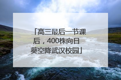 高三最后一节课后，400株向日葵空降武汉校园