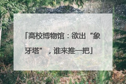 高校博物馆：欲出“象牙塔”，谁来推一把