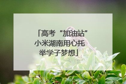 高考“加油站” 小米湖南用心托举学子梦想