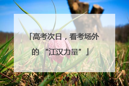 高考次日，看考场外的 “江汉力量”