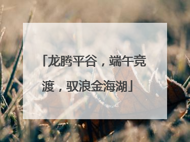 龙腾平谷，端午竞渡，驭浪金海湖