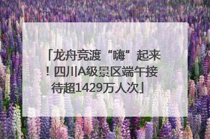 龙舟竞渡“嗨”起来！四川A级景区端午接待超1429万人次