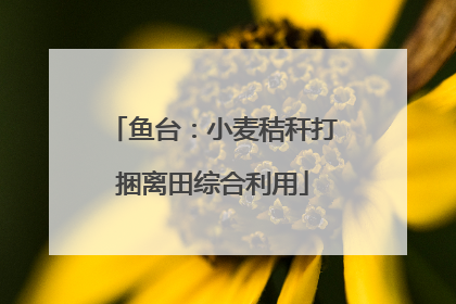 鱼台：小麦秸秆打捆离田综合利用