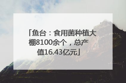 鱼台：食用菌种植大棚8100余个，总产值16.43亿元
