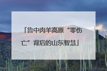 鲁中肉羊高原“零伤亡”背后的山东智慧