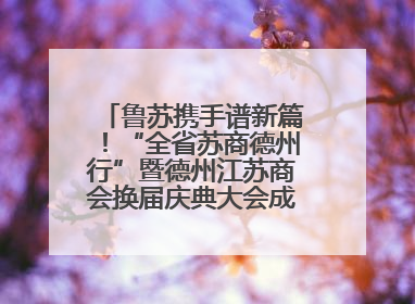 鲁苏携手谱新篇！“全省苏商德州行”暨德州江苏商会换届庆典大会成功举办