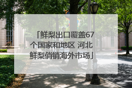 鲜梨出口覆盖67个国家和地区 河北鲜梨俏销海外市场