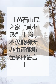 黄石市民之家“黄小政”上岗，不仅能聊天办事还能听懂多种语言