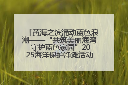 黄海之滨涌动蓝色浪潮——“共筑美丽海湾 守护蓝色家园”2025海洋保护净滩活动暨“美丽江苏—江河湖海青蓝行”海洋篇在连云港举行