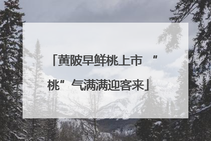 黄陂早鲜桃上市 “桃”气满满迎客来