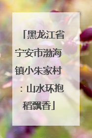 黑龙江省宁安市渤海镇小朱家村：山水环抱稻飘香