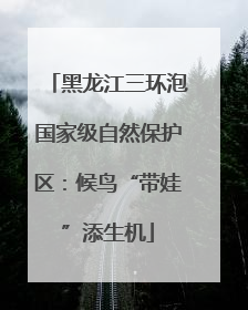 黑龙江三环泡国家级自然保护区：候鸟“带娃”添生机