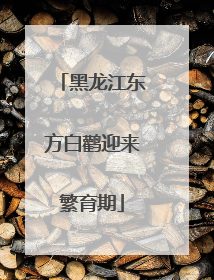 黑龙江东方白鹳迎来繁育期