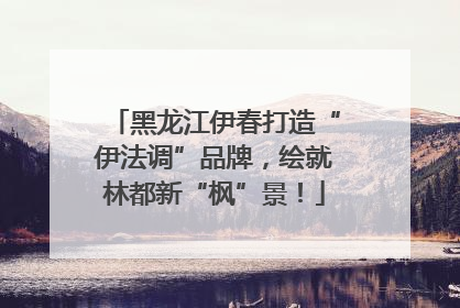 黑龙江伊春打造“伊法调”品牌，绘就林都新“枫”景！