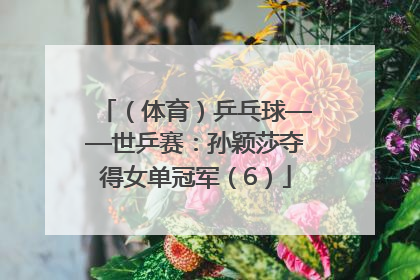 （体育）乒乓球——世乒赛：孙颖莎夺得女单冠军（6）
