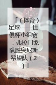 （体育）足球——世俱杯小组赛：弗拉门戈队胜突尼斯希望队（2）
