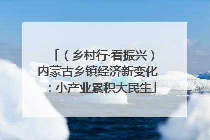 （乡村行·看振兴）内蒙古乡镇经济新变化：小产业累积大民生