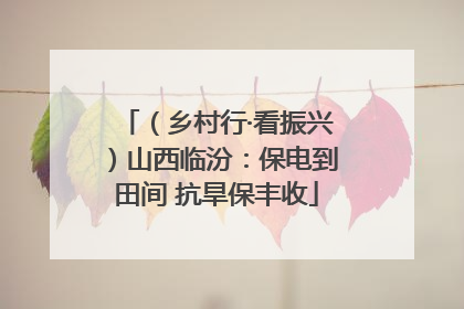 （乡村行·看振兴）山西临汾：保电到田间 抗旱保丰收