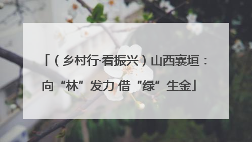 （乡村行·看振兴）山西襄垣：向“林”发力 借“绿”生金