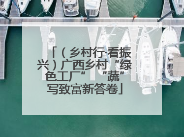 （乡村行·看振兴）广西乡村“绿色工厂” “蔬”写致富新答卷