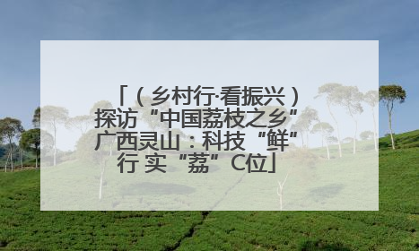 （乡村行·看振兴）探访“中国荔枝之乡”广西灵山：科技“鲜”行 实“荔”C位