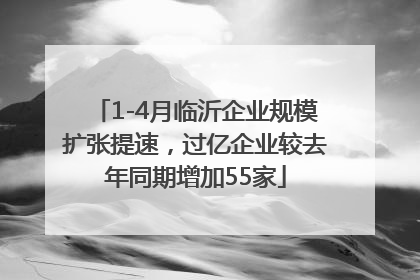 1-4月临沂企业规模扩张提速，过亿企业较去年同期增加55家
