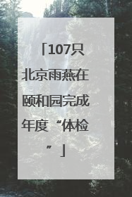 107只北京雨燕在颐和园完成年度“体检”