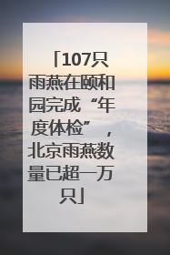 107只雨燕在颐和园完成“年度体检”，北京雨燕数量已超一万只