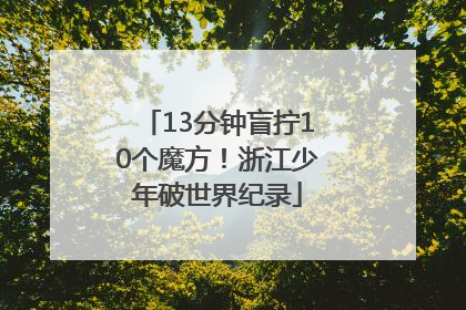 13分钟盲拧10个魔方！浙江少年破世界纪录