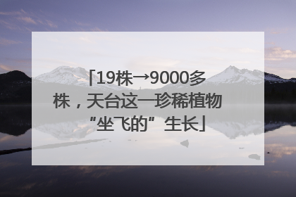 19株→9000多株，天台这一珍稀植物“坐飞的”生长