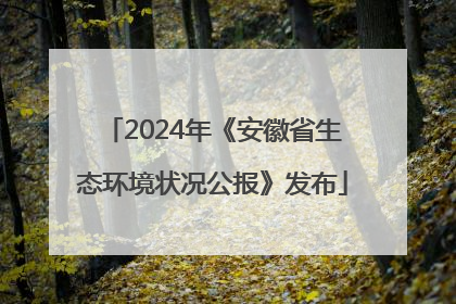 2024年《安徽省生态环境状况公报》发布