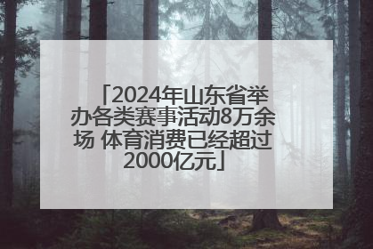 2024年山东省举办各类赛事活动8万余场 体育消费已经超过2000亿元