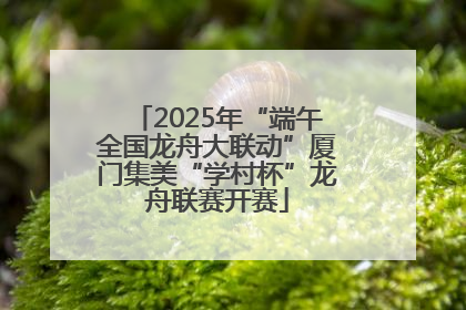 2025年“端午全国龙舟大联动”厦门集美“学村杯”龙舟联赛开赛