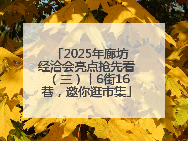 2025年廊坊经洽会亮点抢先看（三）丨6街16巷，邀你逛市集