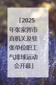 2025年张家界市直机关及驻张单位职工气排球运动会开幕