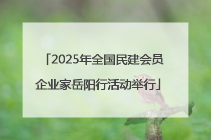 2025年全国民建会员企业家岳阳行活动举行