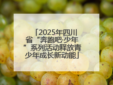 2025年四川省“奔跑吧·少年”系列活动释放青少年成长新动能