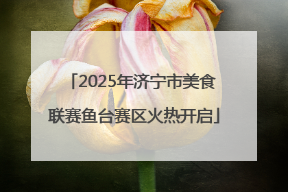 2025年济宁市美食联赛鱼台赛区火热开启
