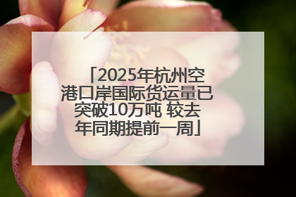 2025年杭州空港口岸国际货运量已突破10万吨 较去年同期提前一周