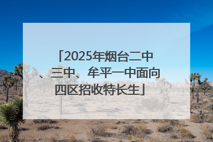 2025年烟台二中、三中、牟平一中面向四区招收特长生