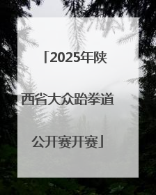 2025年陕西省大众跆拳道公开赛开赛